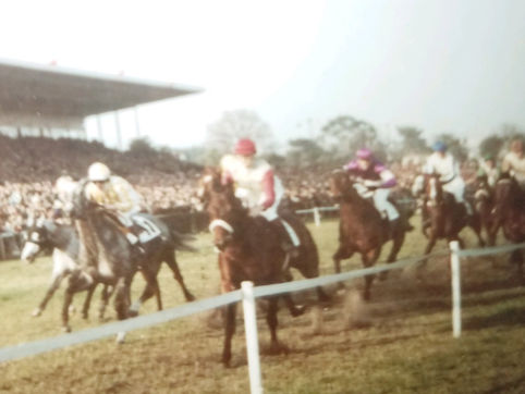 Cagnes Sur Mer : PRIX JANINE LEFEVRE WINKFIELD