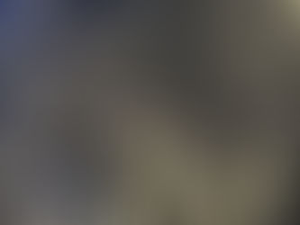 The Llancalil Forest — how is it now, and what needs to be done?