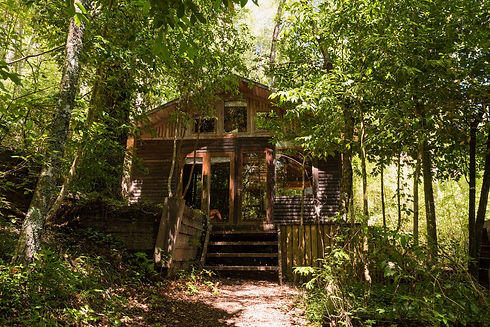 Cabaña Concon, respira el bosque