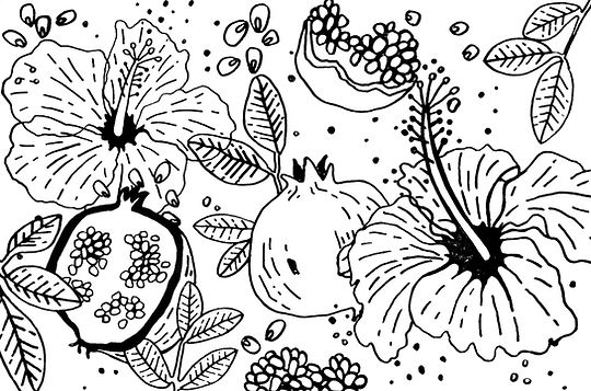 Pomegrantes and Hibiscus.jpg