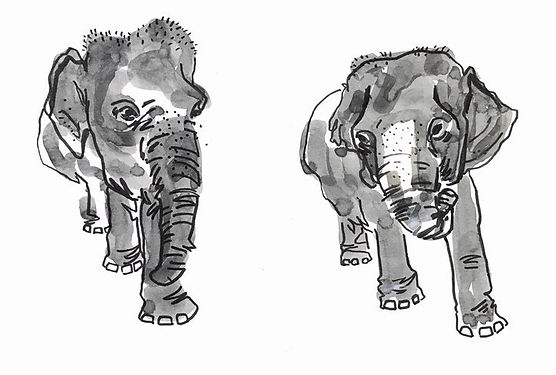 Thailand Sketch_2018_7x9.jpg