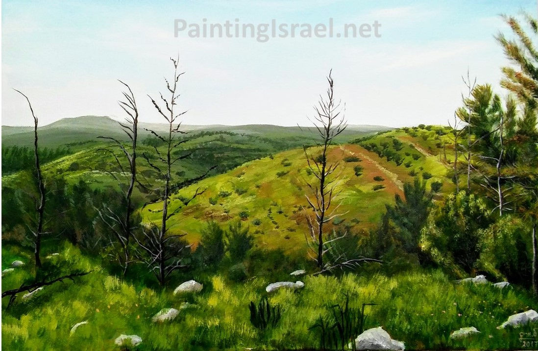 יער אשתאול, ירושלים