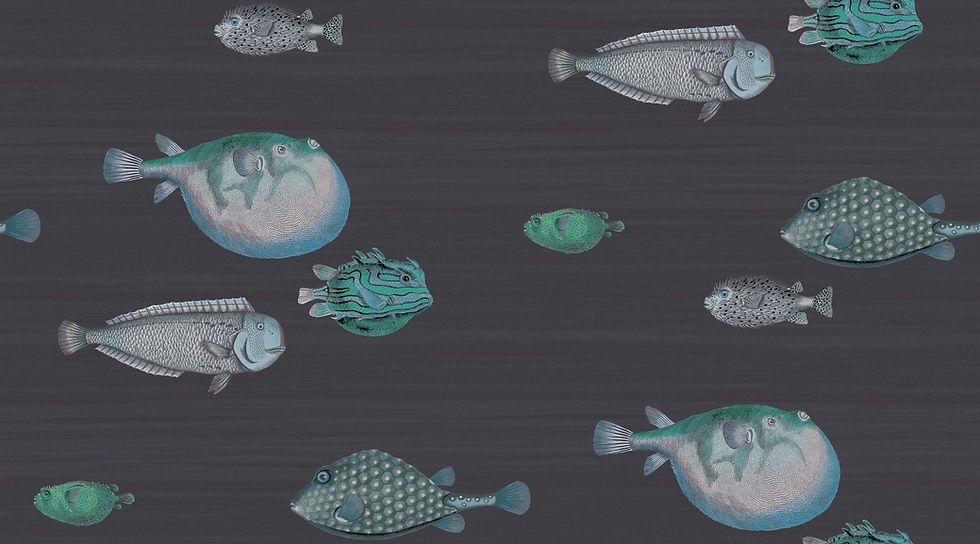 Thumbnail: Cole and Son - Acquario