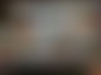 Kitchener Collectibles Expo Review