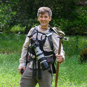 Kendall_Paul_Oei.jpg