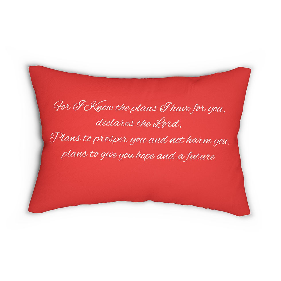 Thumbnail: Red I Know The Plans - Lumbar Pillow for Meditation and Rest