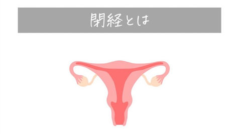 子宮と卵巣のイラスト