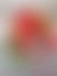 秋のアレンジメント