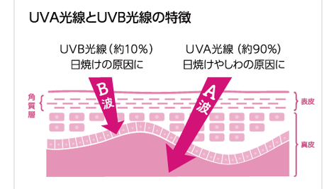 【連載】自由が丘クリニック恵理ドクターの美容医療コラム VOL.02(2022.6)紫外線を防ぎ老化を遅らせる