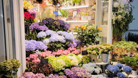 【新連載】クーポン付き!flower y's style こぼれ話とお花ののんびりコラム VOL.1 (2023.4)花選びは香り選び
