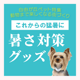 自由が丘ペット特集、ショップスタッフ一押し「暑さ対策グッズ」