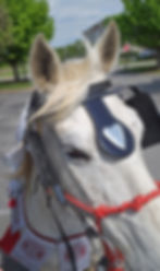 Screenshot_20250425_151624_Gallery