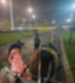 Screenshot_20250505_125931_Gallery_edited