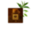 5-removebg-preview (3).png