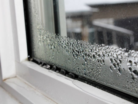 Top 5 Causes of Water Damage in Salt Lake Homes (And How to Prevent Them)