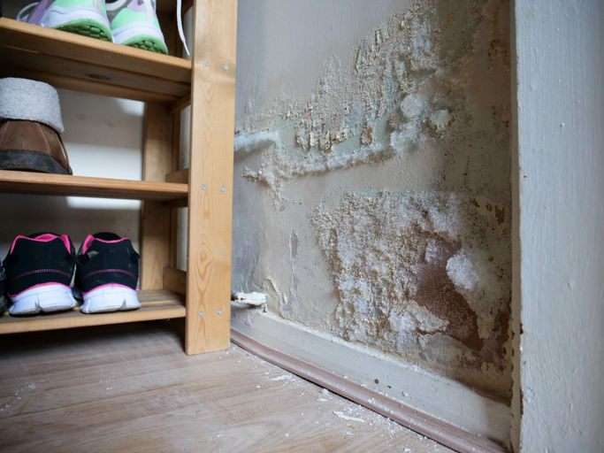 A corner near a neat show storage bin shows water damage, and mold growth on the walls.
