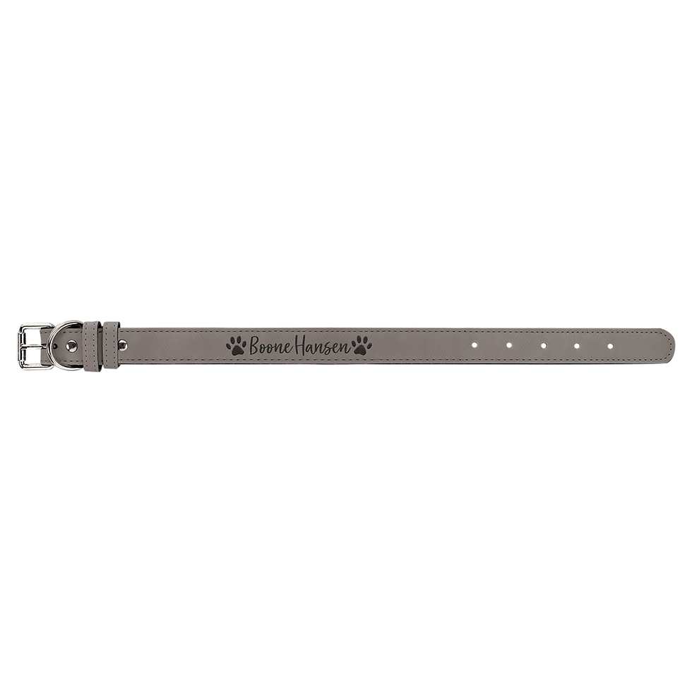 Gray Dog Collar