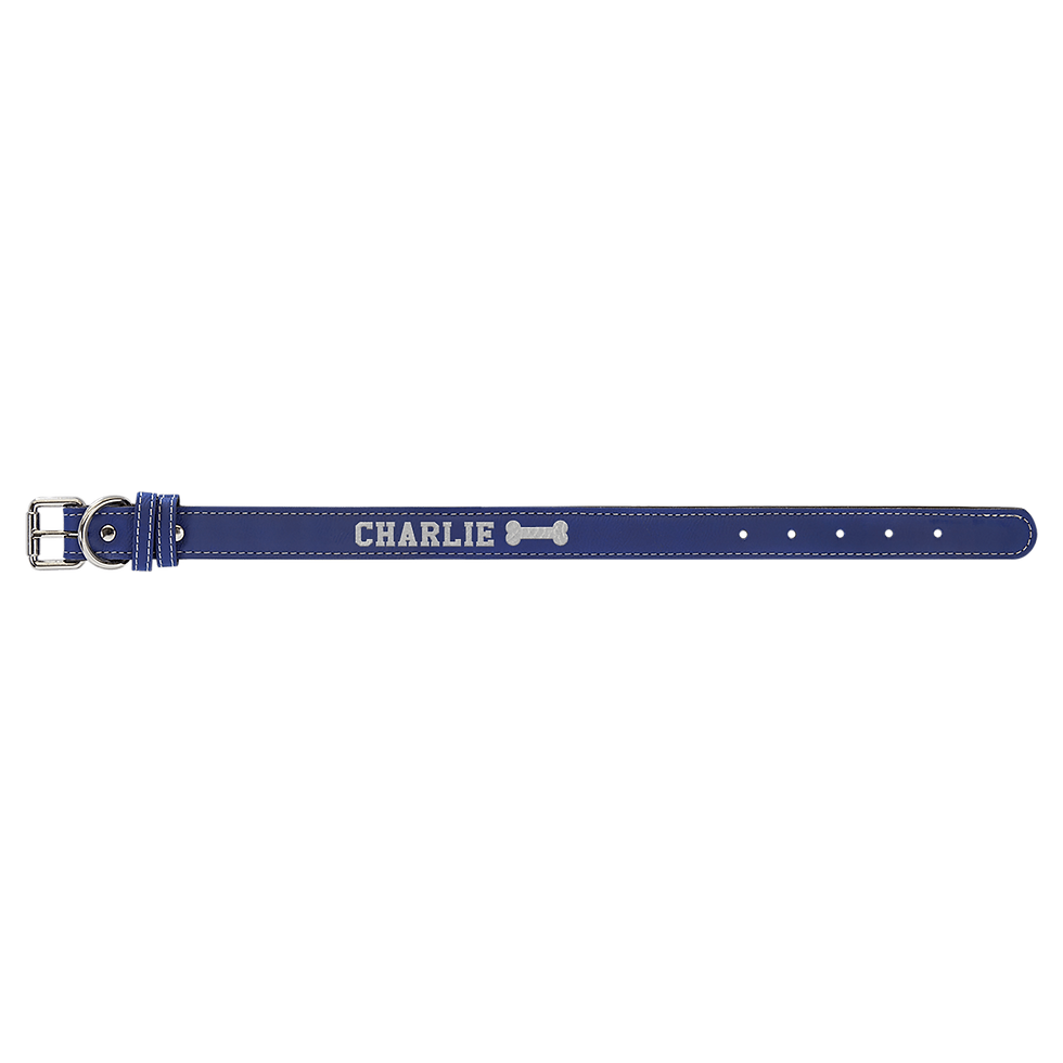 Blue Dog Collar
