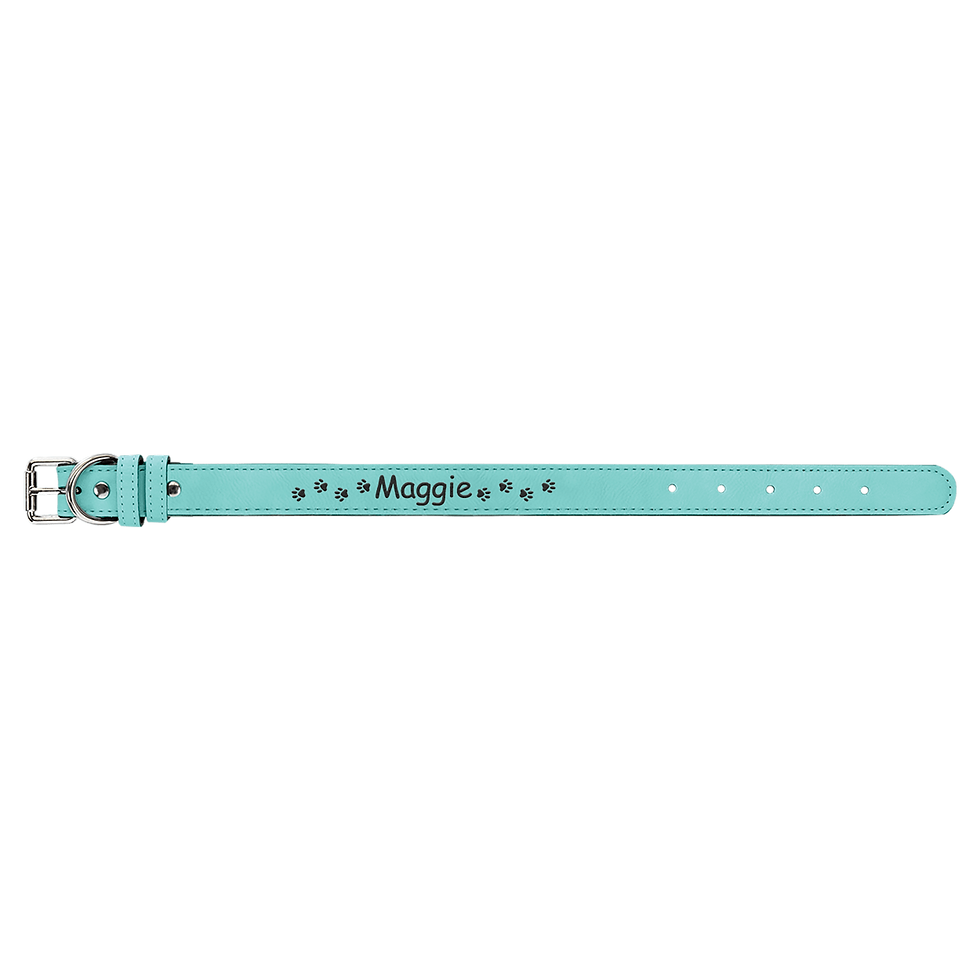 Teal Dog Collar