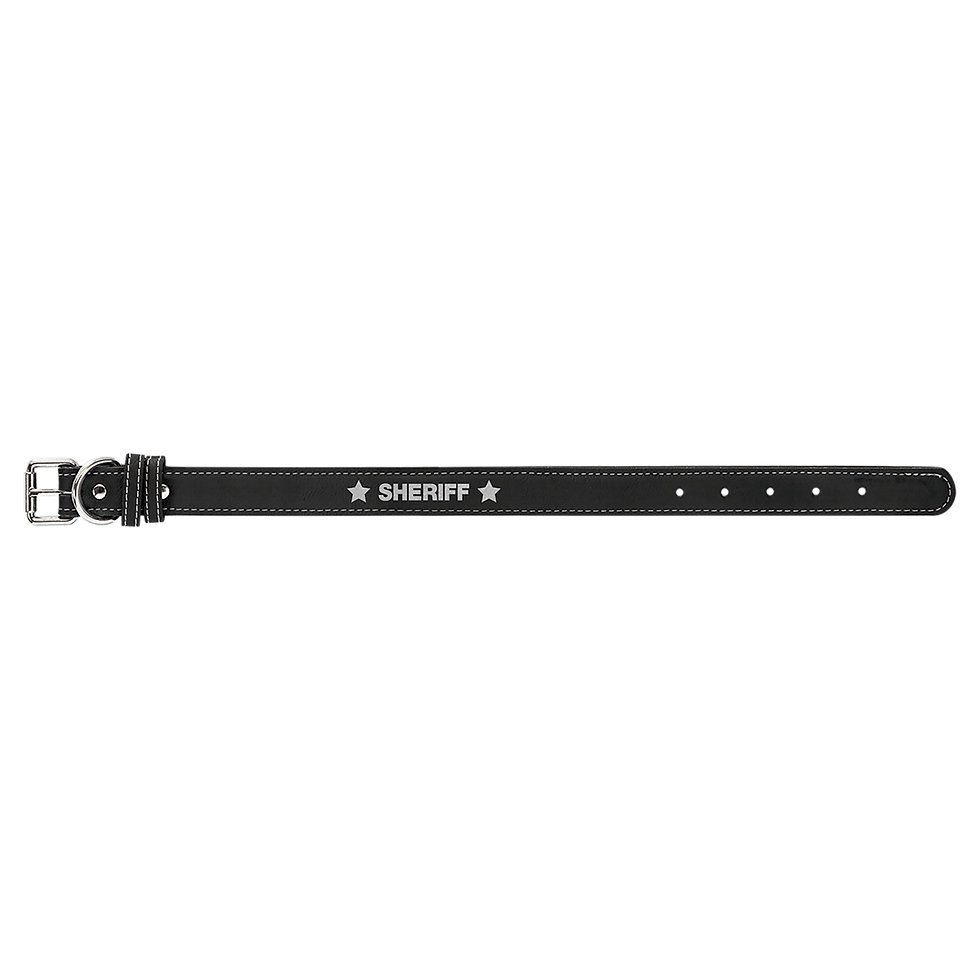 Black Dog Collar