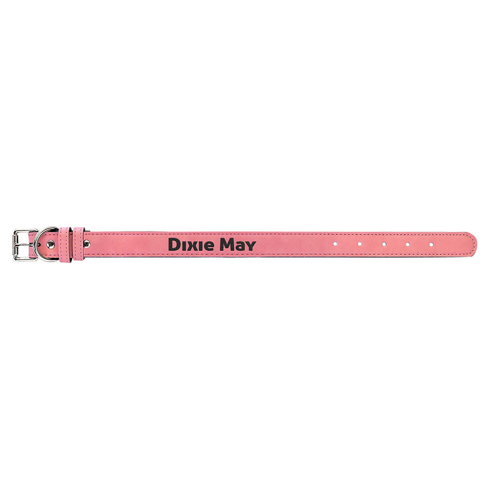 Pink Dog Collar