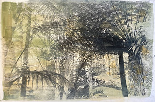 west coast gallery piha auckland art exhibition artist jago neal illustrator photographer photography illustration