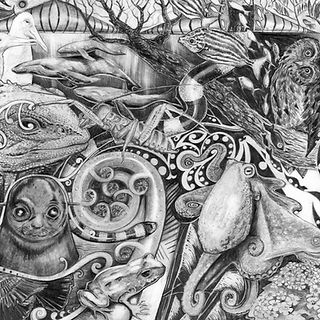 west coast gallery piha auckland art exhibition artist jago neal illustrator photographer photography illustration