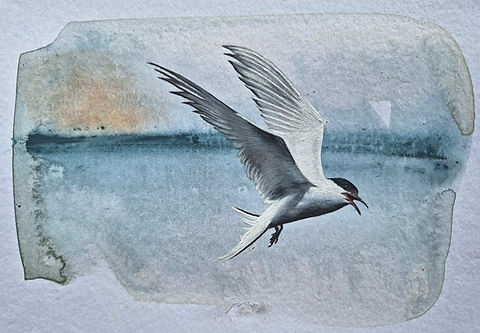 mandy patmore artist paintings mixed media woodcuts installations new zealand artist residencies iceland