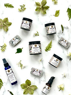west coast gallery piha auckland art exhibition artist megan vertelle skincare belle bird botanica ceramics ceramicist balms