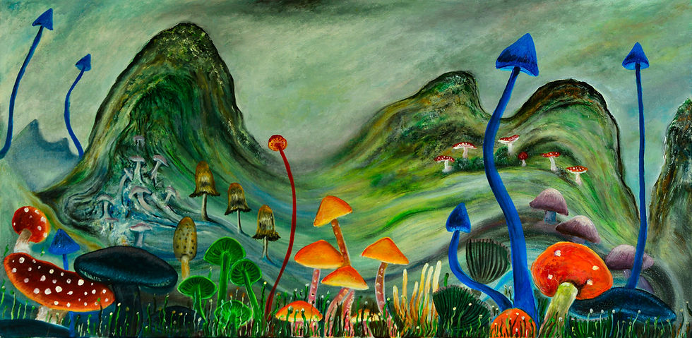 west coast gallery piha auckland art exhibitions events