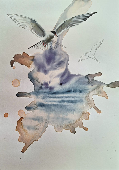 mandy patmore artist paintings mixed media woodcuts installations new zealand artist residencies iceland