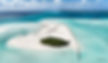 aitutki coral reef restoration eco friendly snorkel tours cook islands mike lee sustainable tourism
