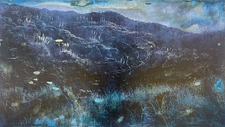west coast gallery piha auckland art exhibition artist jago neal illustrator photographer photography illustration