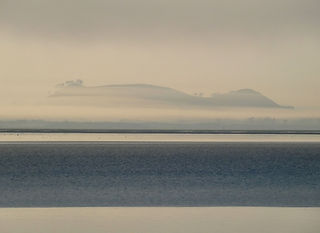west coast gallery piha auckland art exhibition artist rachel mooney photographer photography