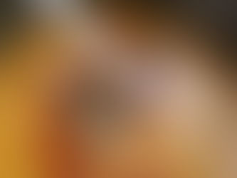 sobhnas instant dhal