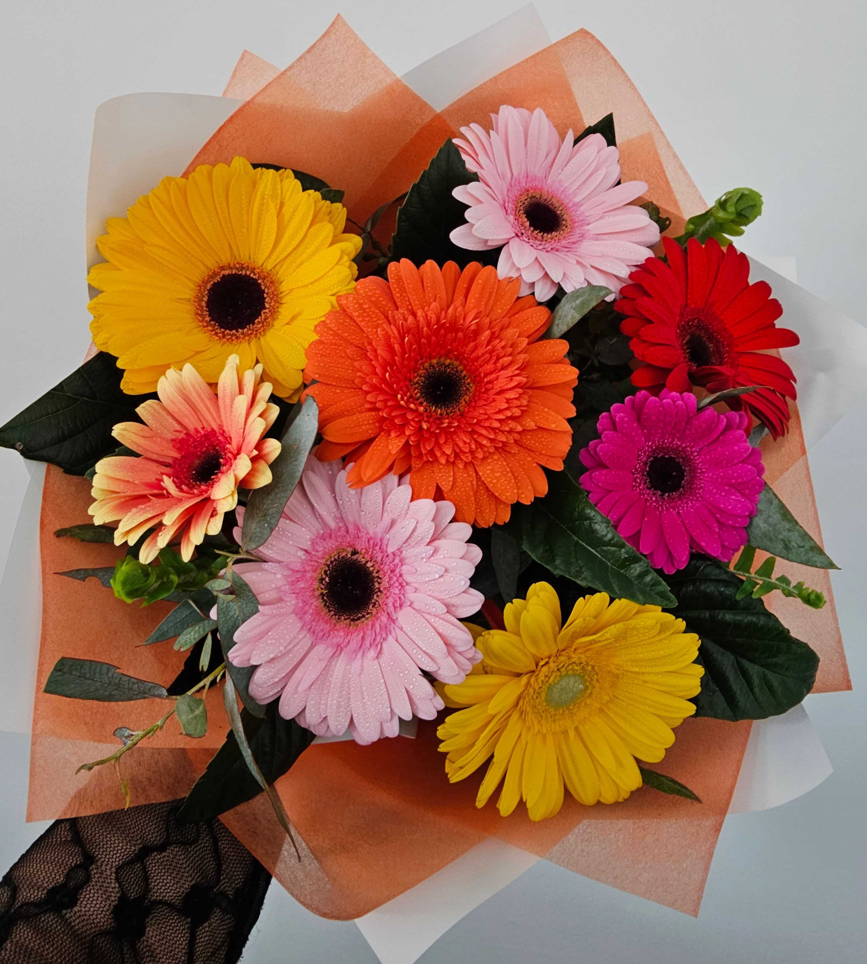 Kora Floral Boutique Florist Gisborne Fresh Flowers Gerberas Jaiah