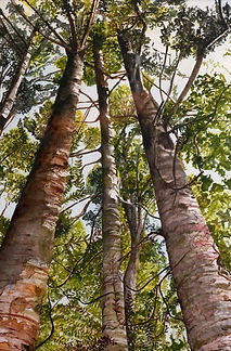 west coast gallery piha auckland art exhibition artist pamela byles painter