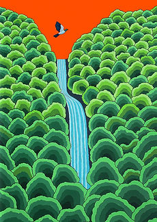 west coast gallery piha auckland art exhibition artist ted scott photographer painter