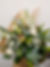 kora_floral_boutique_ arrangements_jason_2.jpg