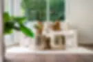 the homestagers tailored home staging interior styling dmi bespoke luxury mt wellington auckland services free quote best