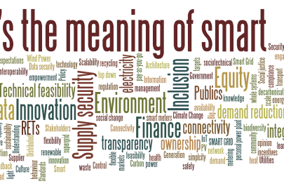 What's the meaning of 'smart'? A study of smart grids