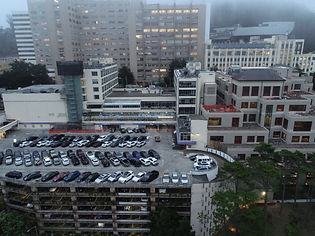 Parnassus Darker_0002.JPG