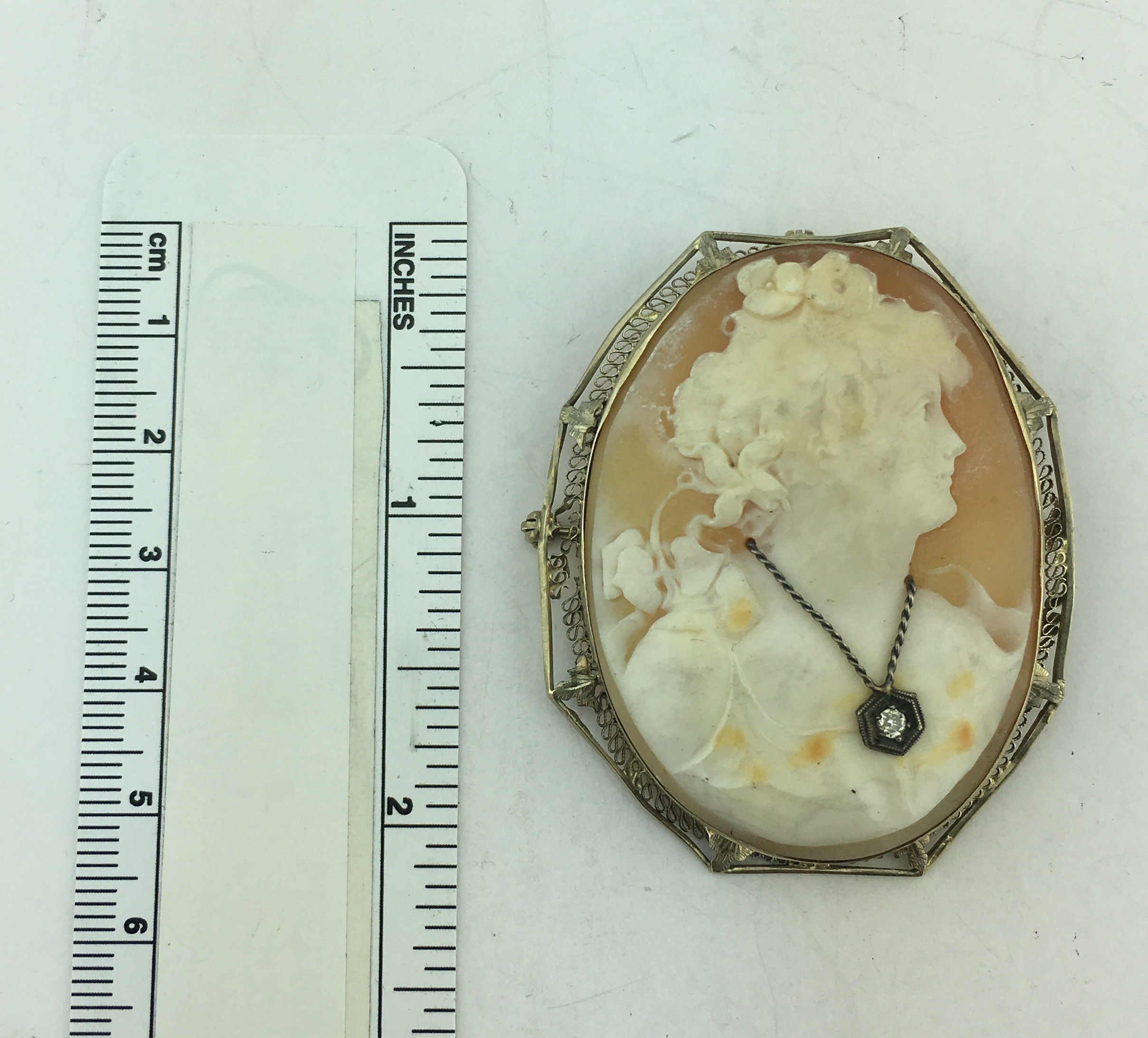 14K White Gold, Diamond Large Cameo Brooch & Pendant