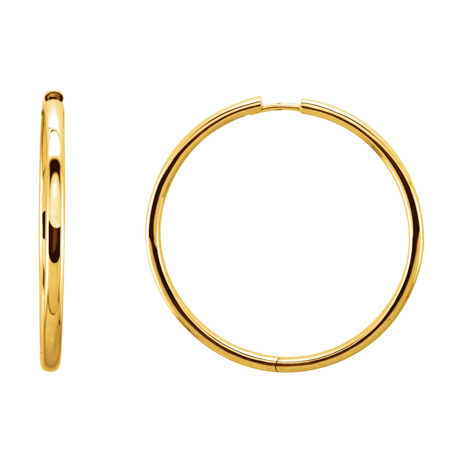 Hinged Hoop Earrings