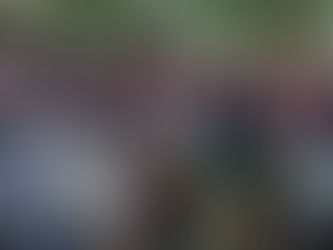 The Busking Scene in Singapore More Than Just Music on the Streets