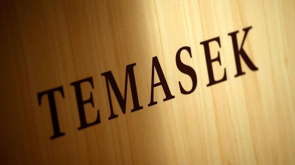 The word "TEMASEK" in bold black letters on a light wooden background, conveying a formal and professional mood.