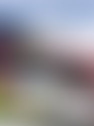 Singapore to Melaka Bus Tips The 60-Minute Border Hack