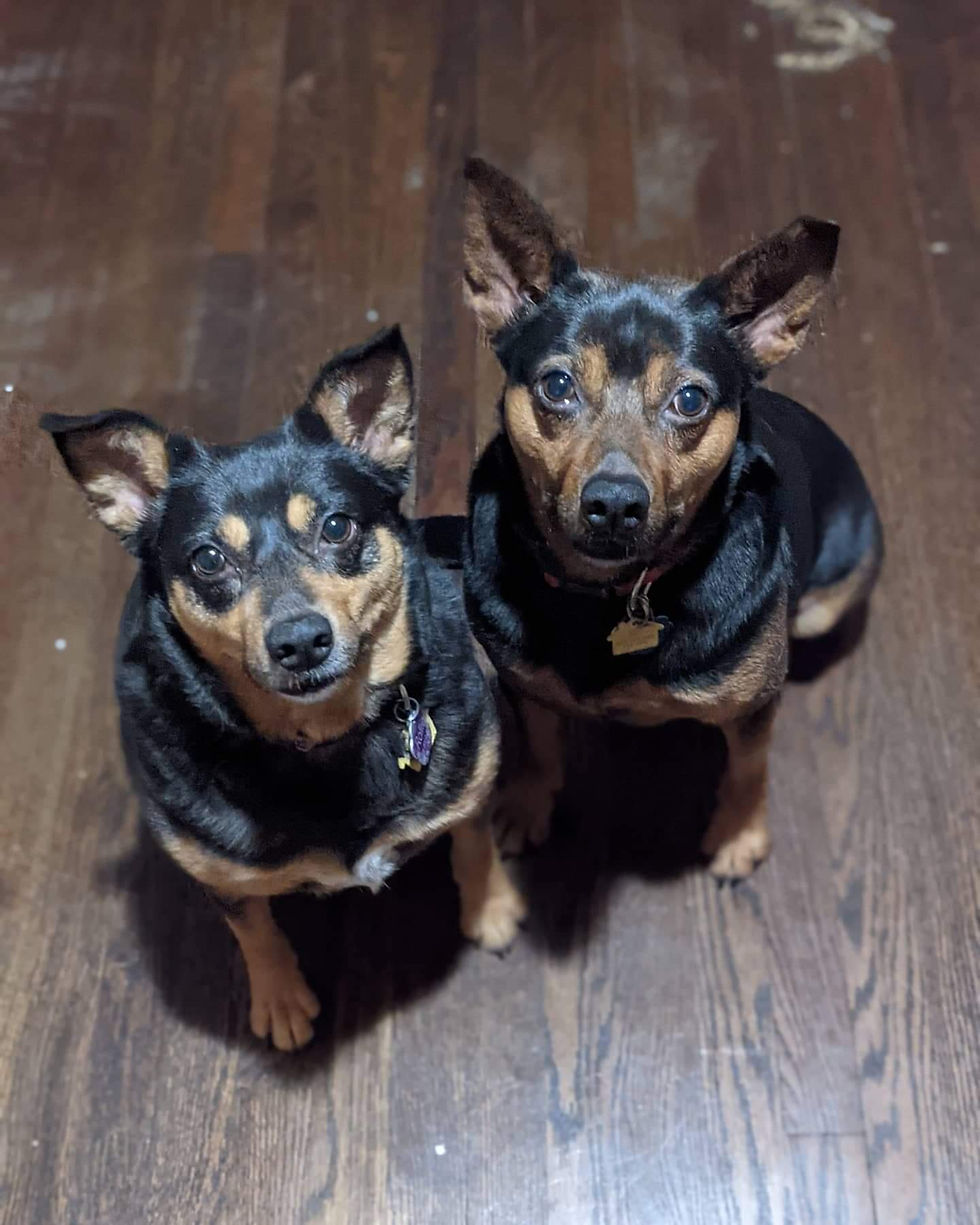 Max & Rollie (Raw-Lee)