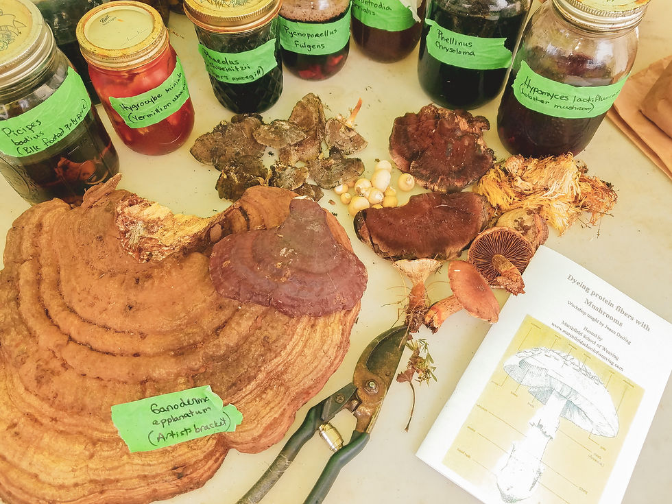 Thumbnail: The Art of Mushroom Dyes | Joann Darling