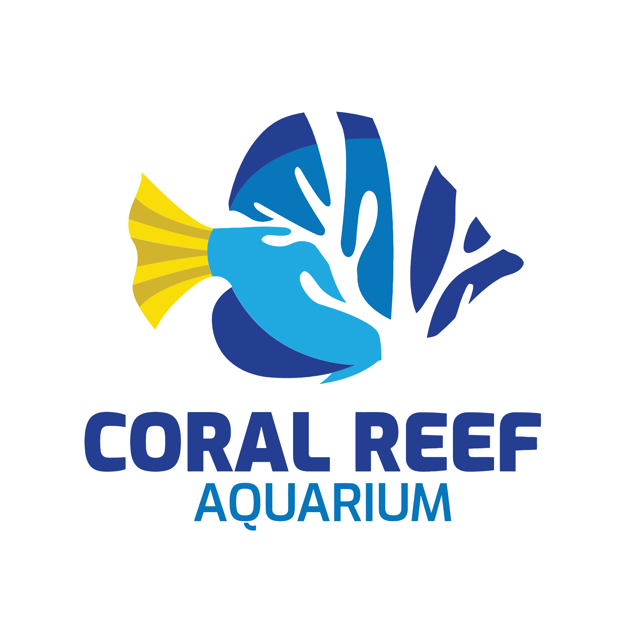 Marine fish stockists near me sales